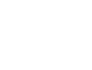 logo sbt